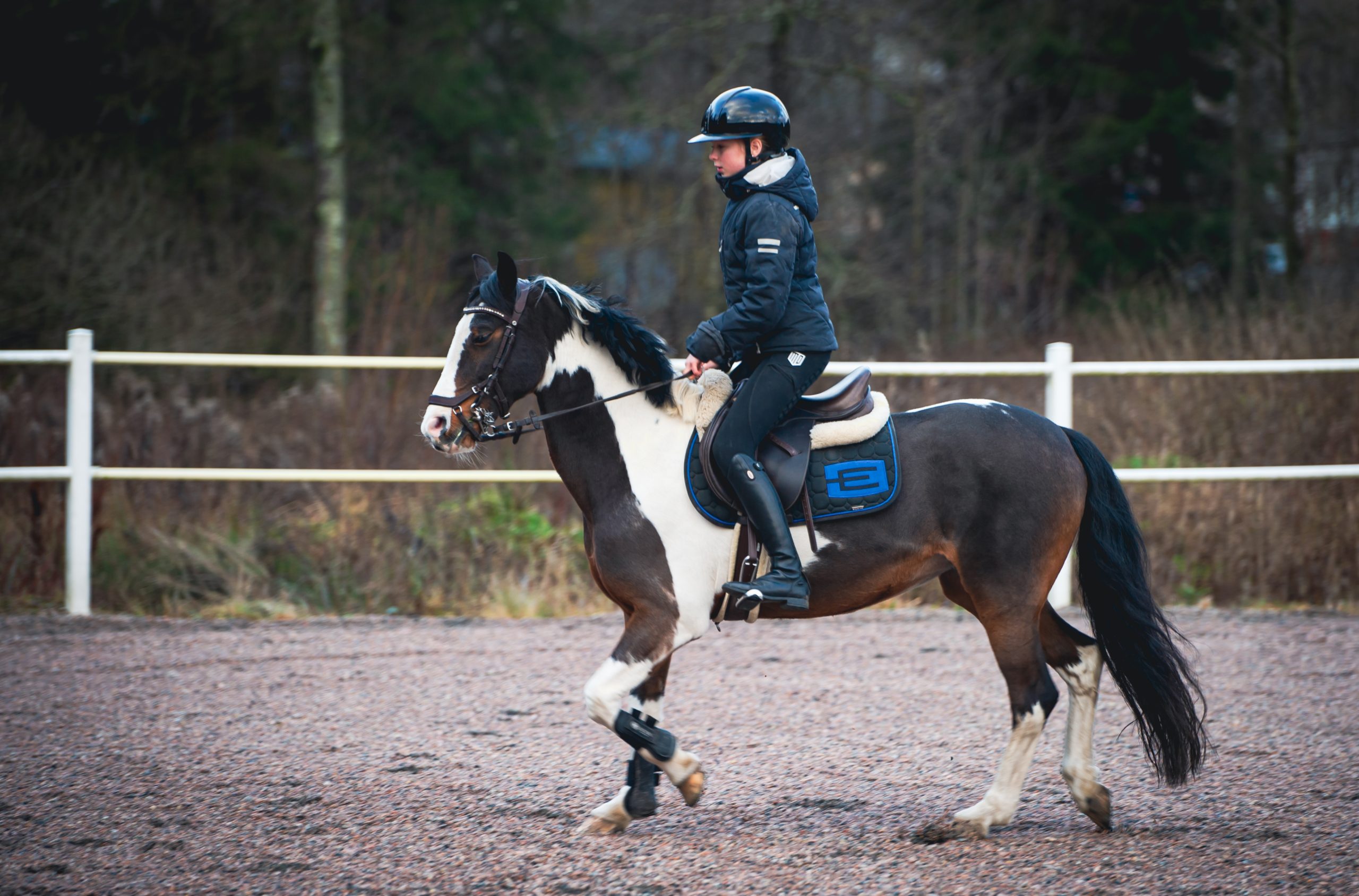 Att ha fotograferat Joline och Max…